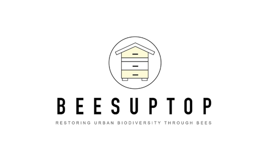 Bees Up Top